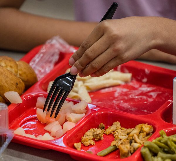 New nutritional guidelines put less sugar and salt on the school meal menu