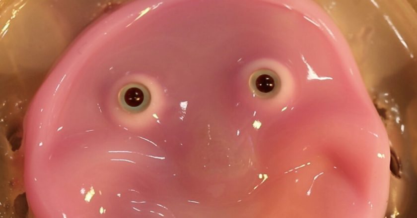 Robots Get Fleshy Faces (and Smiles), New Research Says