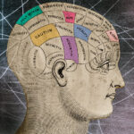 Two theories of consciousness have been addressed. The referee took a beating.