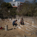 West Bank Olive Harvest Under Attack: Boy Killed by Israeli Settlers