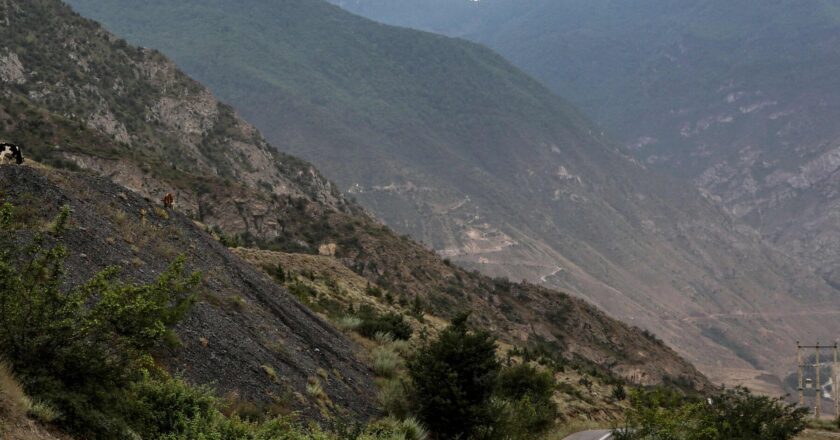 Iran’s Historic Forest at Risk from Wildfire