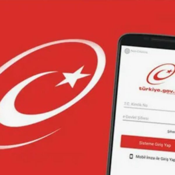E Devlet platformunda gizli kalan özellikler merak uyandırıyor