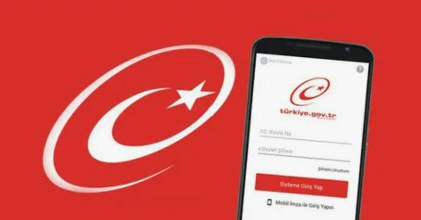 E Devlet platformunda gizli kalan özellikler merak uyandırıyor