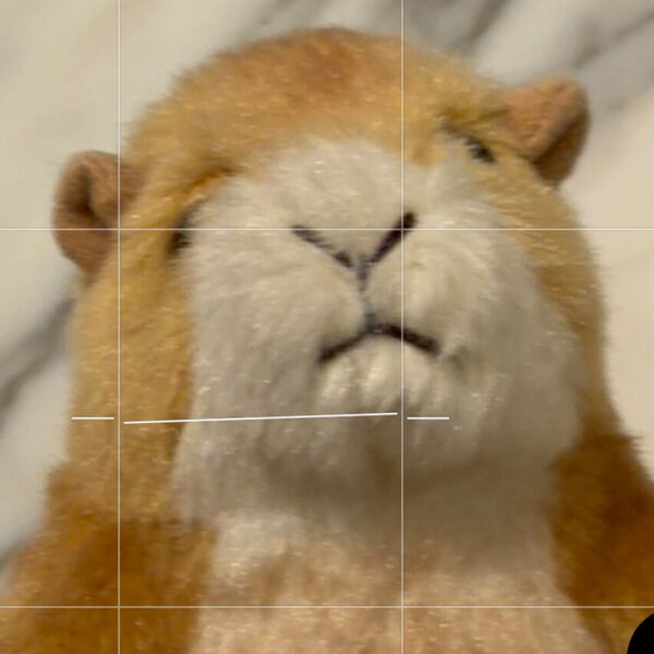 Master Your New Smartphone Camera’s Incredible Features