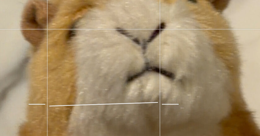 Master Your New Smartphone Camera’s Incredible Features